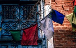 igor-ovsyannykov-223083-min