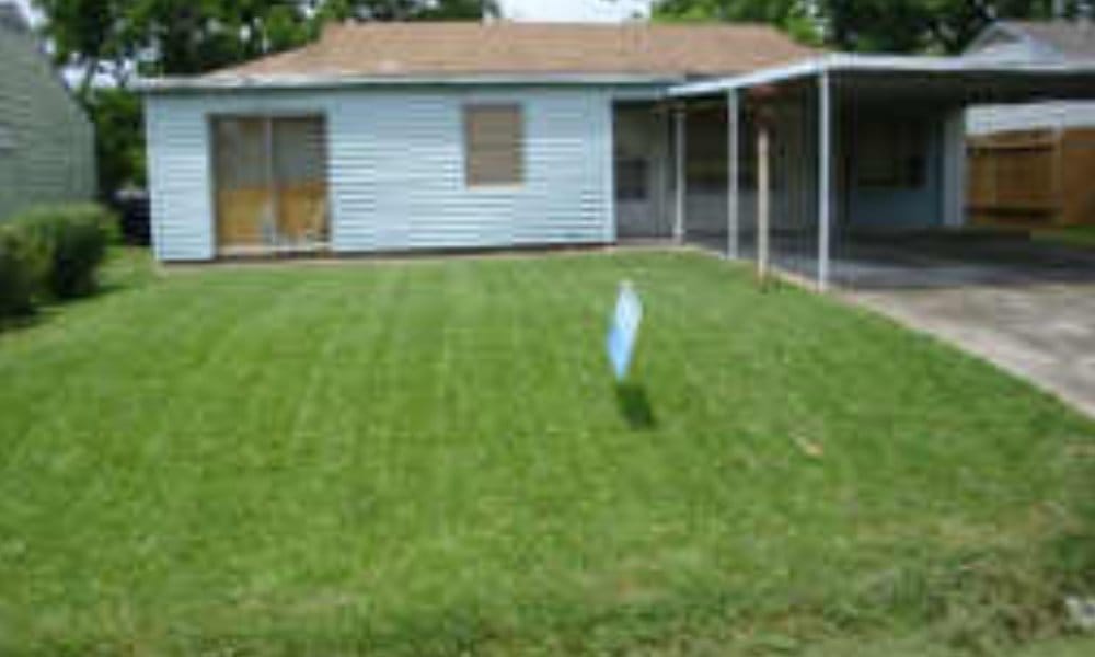 New Project (27) deals closed