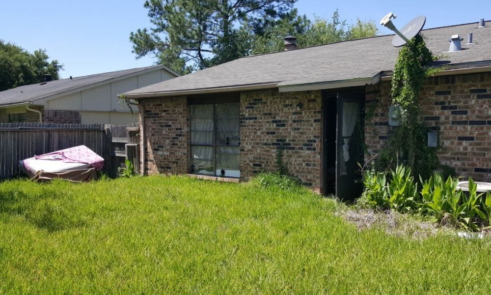 New Project (43) closed deals