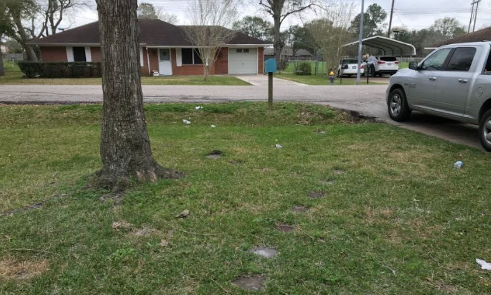 New Project (48) closed deals