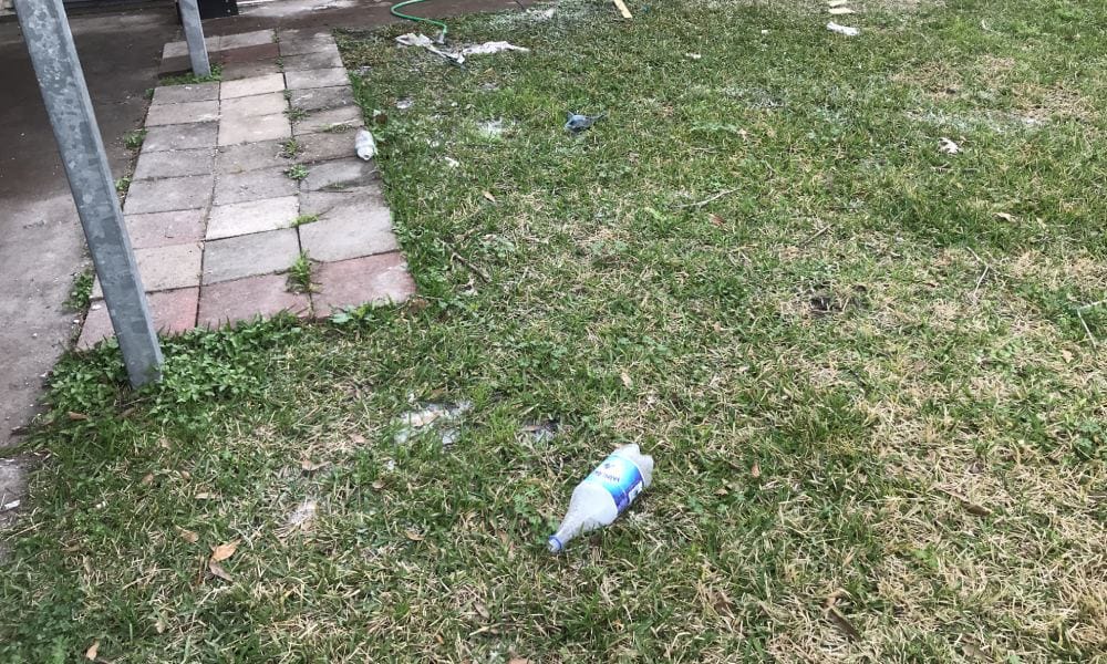 New Project (50) closed deals