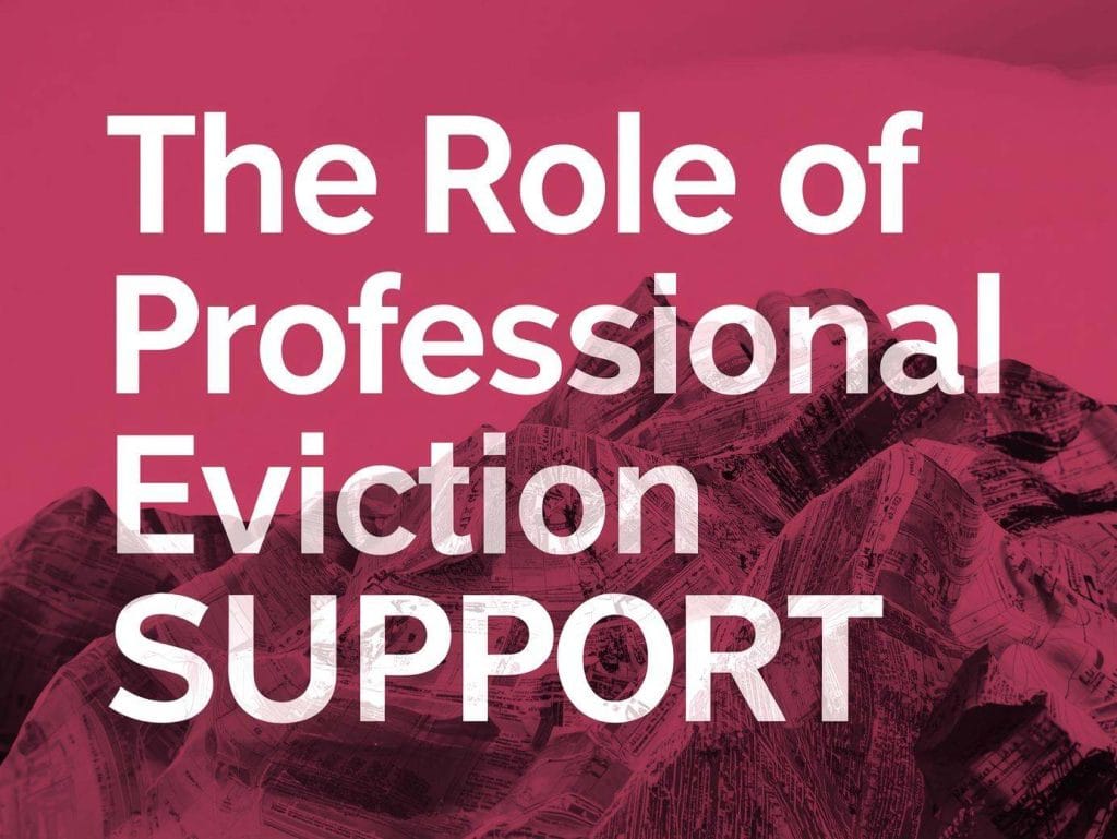 The Role of Professional Eviction Support
