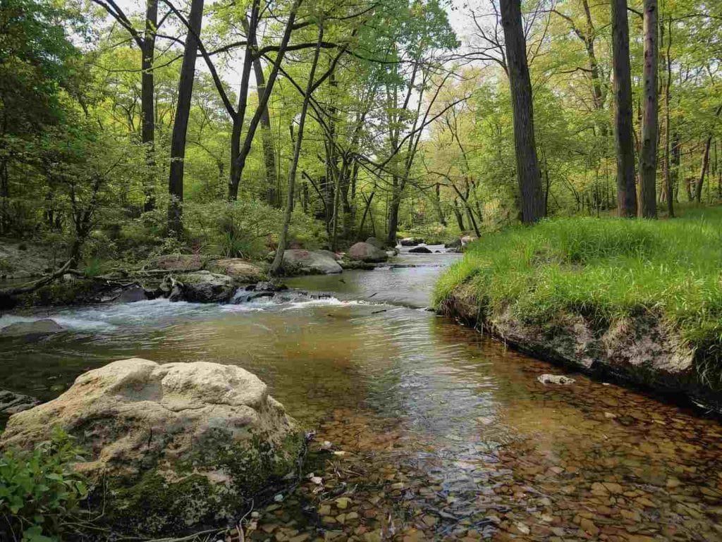 Why Bear Creek Pioneers Park Stands Out