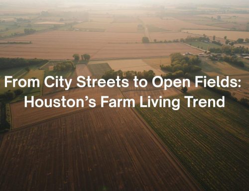 From City Streets to Open Fields: Houston’s Farm Living Trend