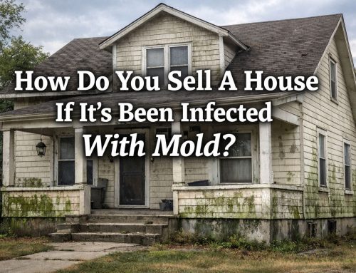 How Do You Sell A House If It’s Been Infected With Mold?